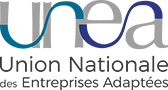 L'innovation au cœur des Entreprises Adaptées. L'UNEA crée une nouvelle filière métiers : « Agences-conseil en communication »