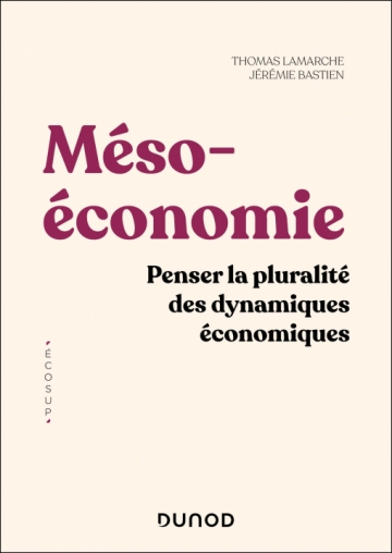 Livre "Méso‑ économie Penser la pluralité des dynamiques économiques"