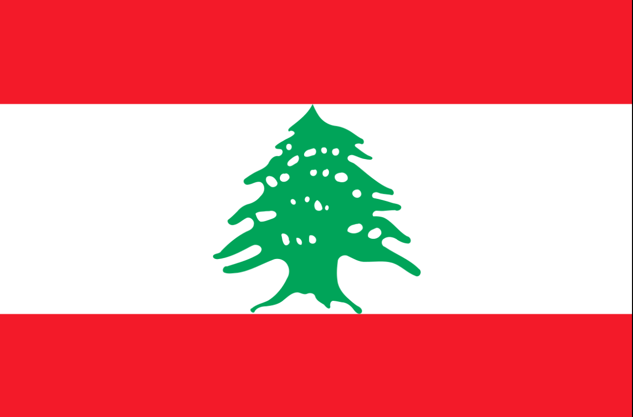 Des étudiants présentent une proposition de loi pour créer un label ESS au Liban