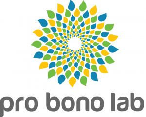 Global Pro Bono Summit “Face aux défis du monde d'aujourd'hui, le pro bono est une solution.”