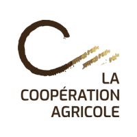 Webinaire de présentation des Elles de la Coop